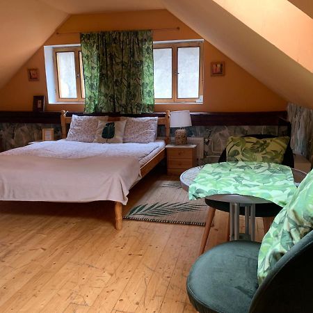 شقة Loft Natalya Gold Český Krumlov المظهر الخارجي الصورة