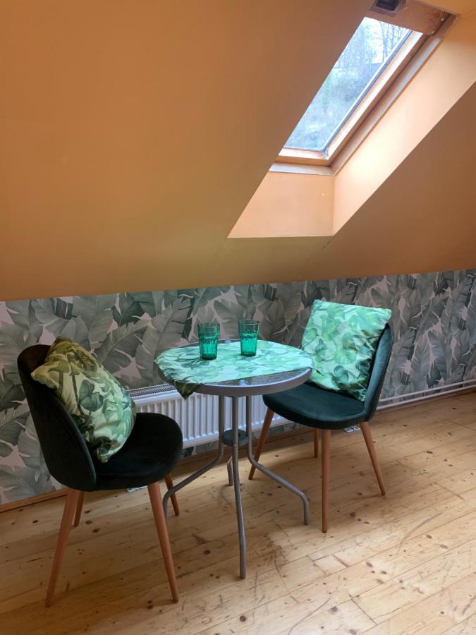 شقة Loft Natalya Gold Český Krumlov المظهر الخارجي الصورة