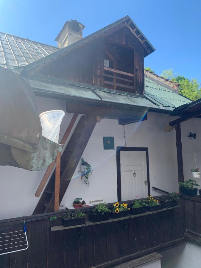 شقة Loft Natalya Gold Český Krumlov المظهر الخارجي الصورة